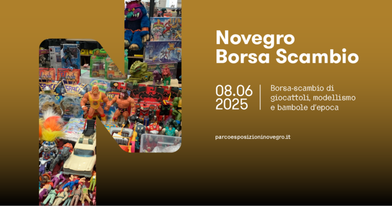 Borsascambionovegro2025giugno