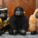 Gorilla Magical Murphy