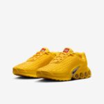 Nikelego2025 5