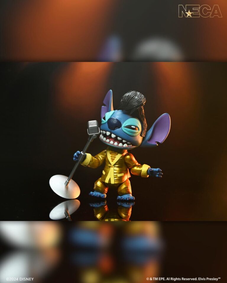 Stitchelvisneca2025 6