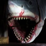 Jaws2026 2