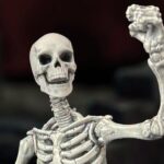 Skeleton2026bossfight Cop